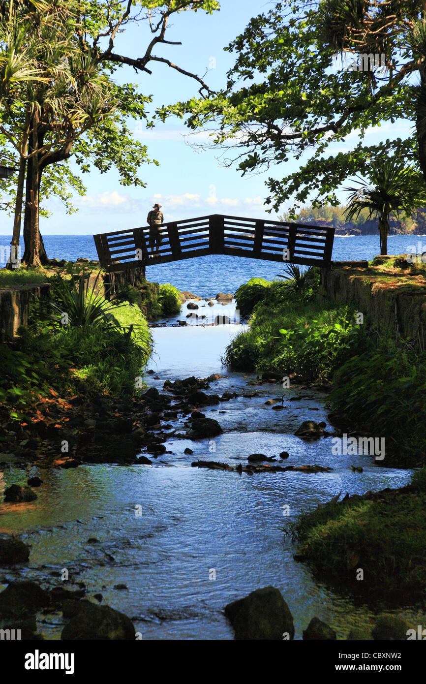 Small bridge on river hi-res stock photography and images - Alamy