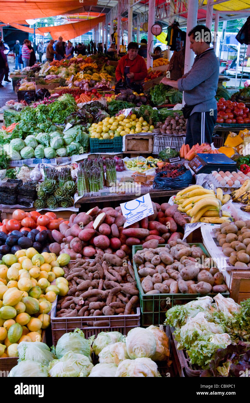 Chile. Valdivia city. The Rivers district. Fish and fruit market Stock