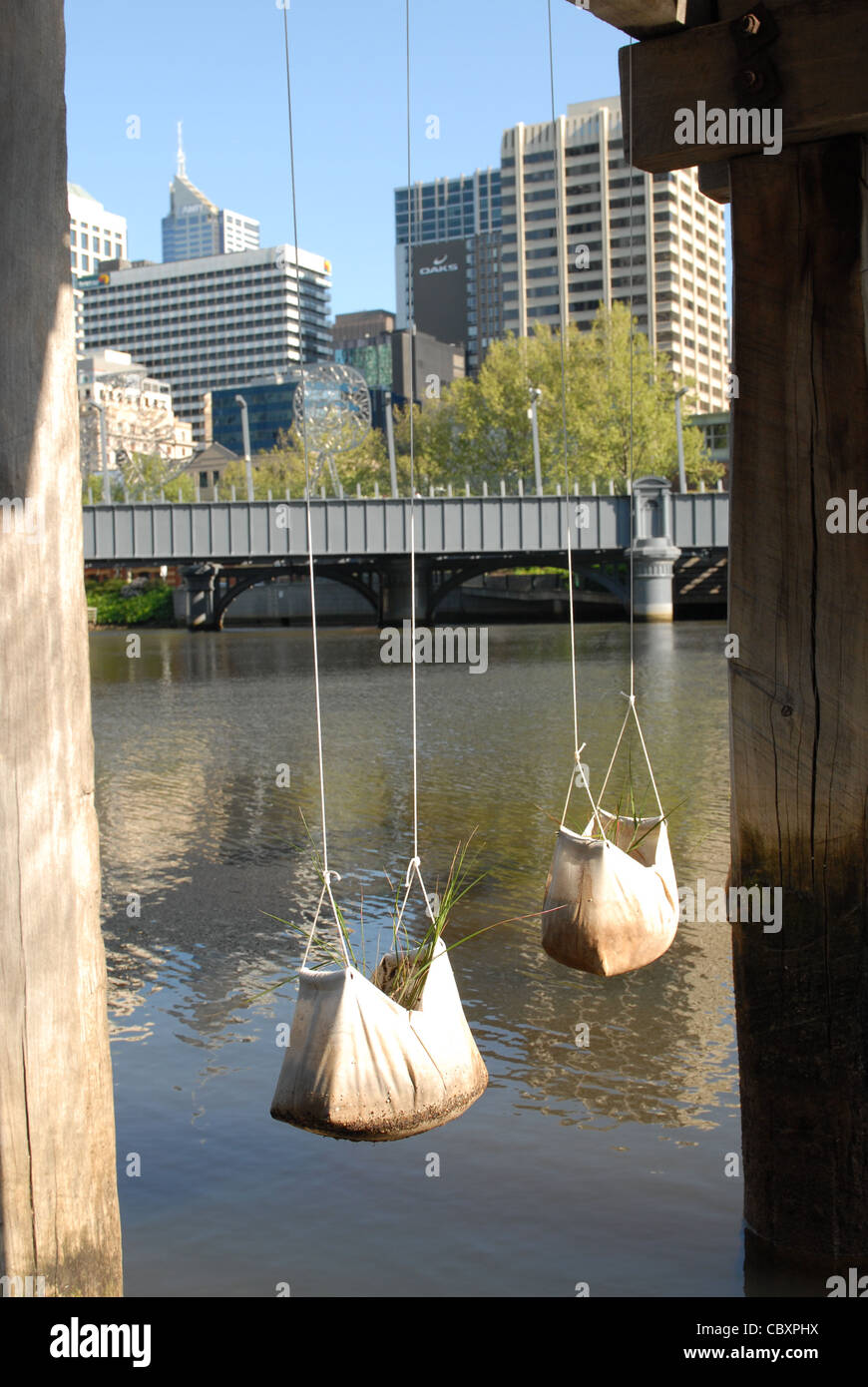 Hanging garden made of plant bags hanging on a Yarra pier at Southbank