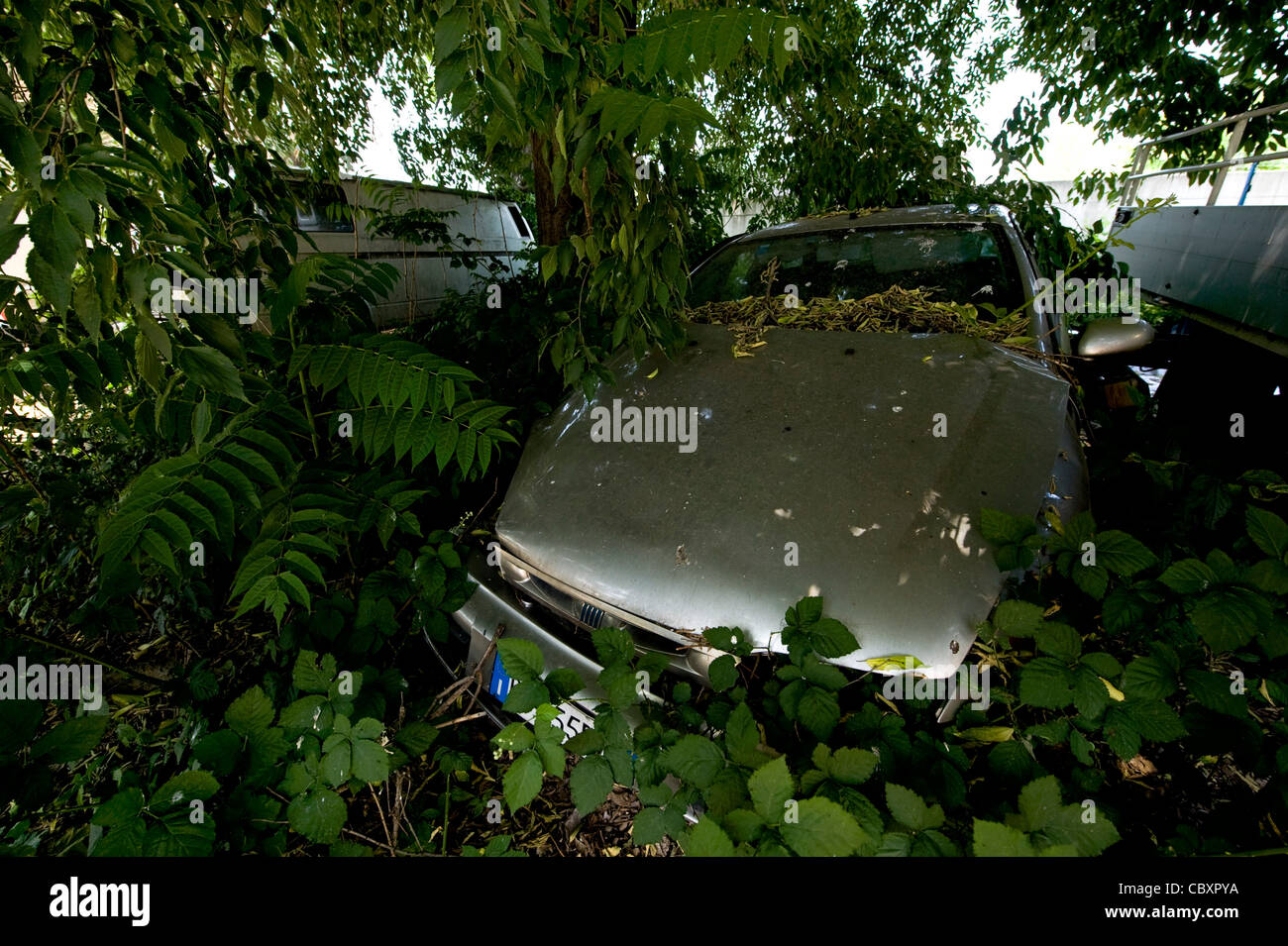 car scrap yard in milan, italy Stock Photo