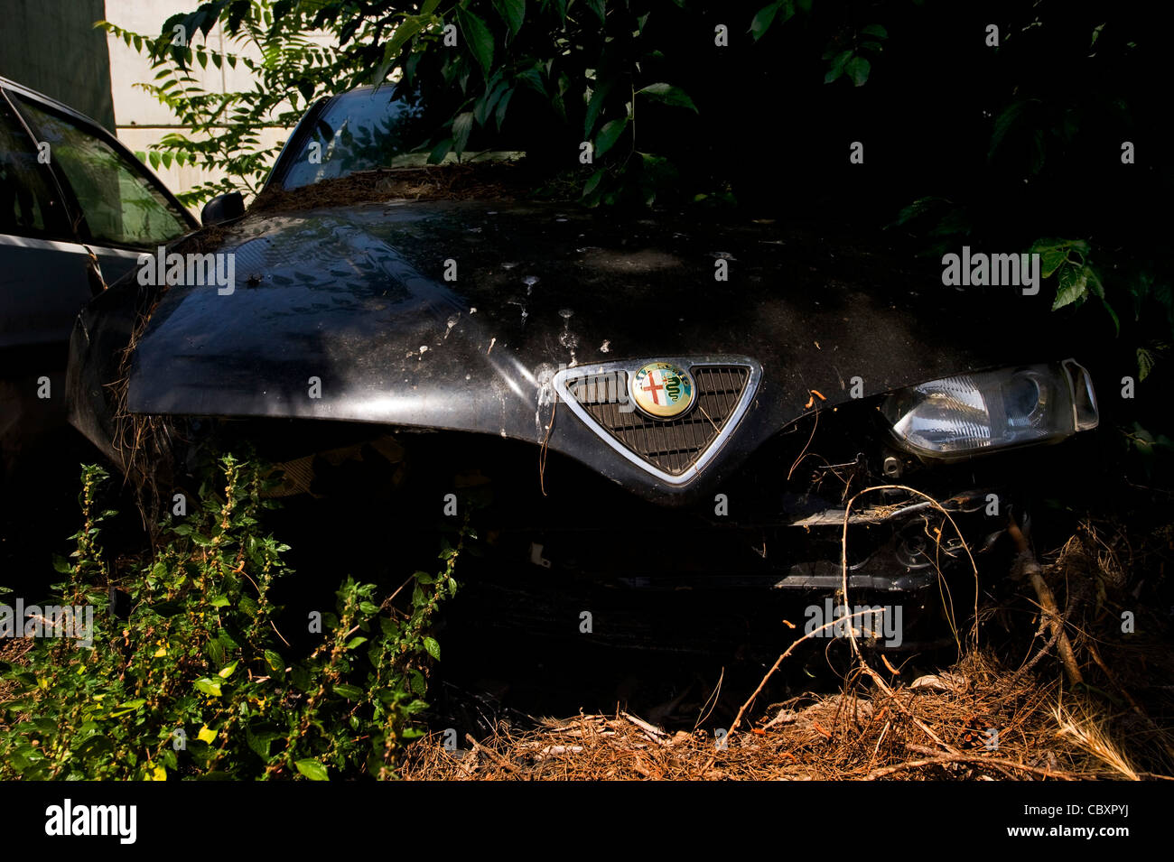 Car junk yard hi-res stock photography and images - Alamy