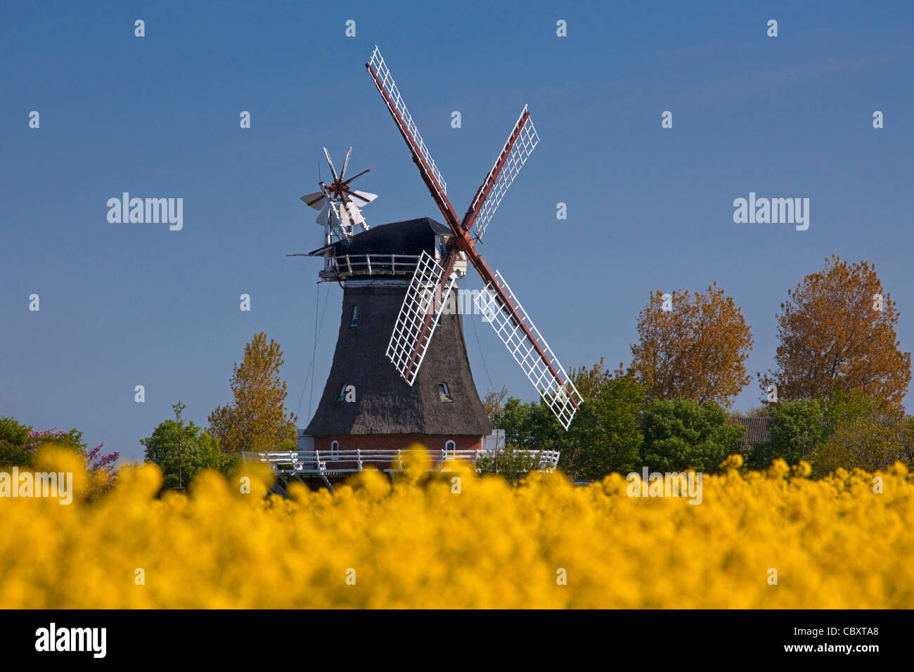 Windmill in Oldsum on the island of Föhr, Northern Friesland, Germany Stock Photo