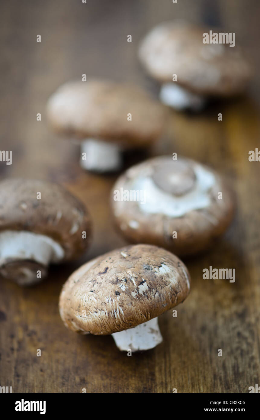 Cremini mushrooms Stock Photo Alamy