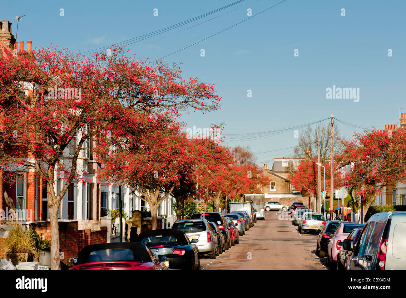 Eastbury Grove, W4, Chiswick, London, United Kingdom Stock Photo Alamy