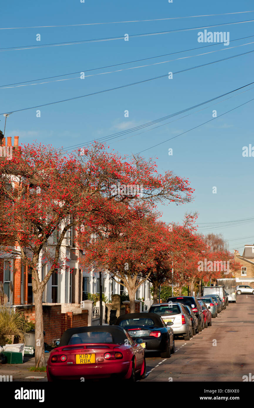 Eastbury Grove, W4, Chiswick, London, United Kingdom Stock Photo Alamy
