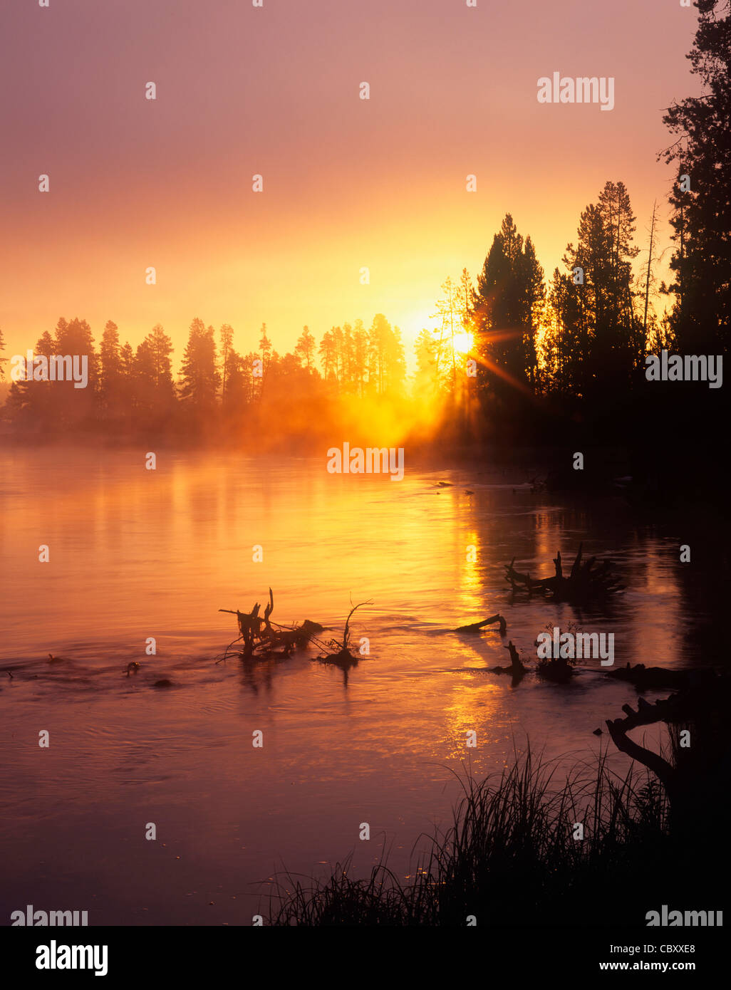 Fog mist misty water mood rising dawn hi-res stock photography and ...