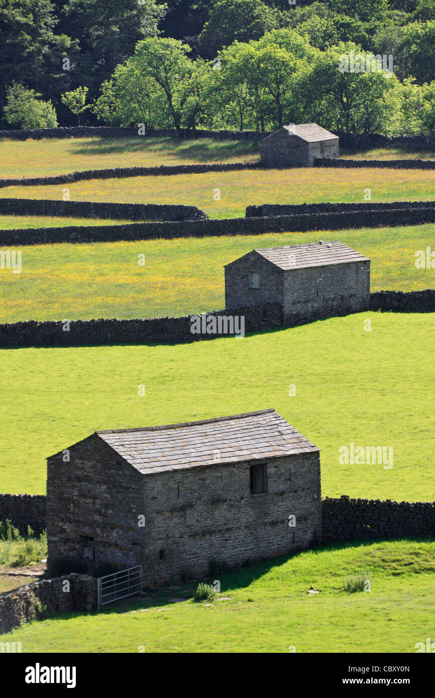 Row of three barns near Gunnerside in the Yorkshire Dales National Park