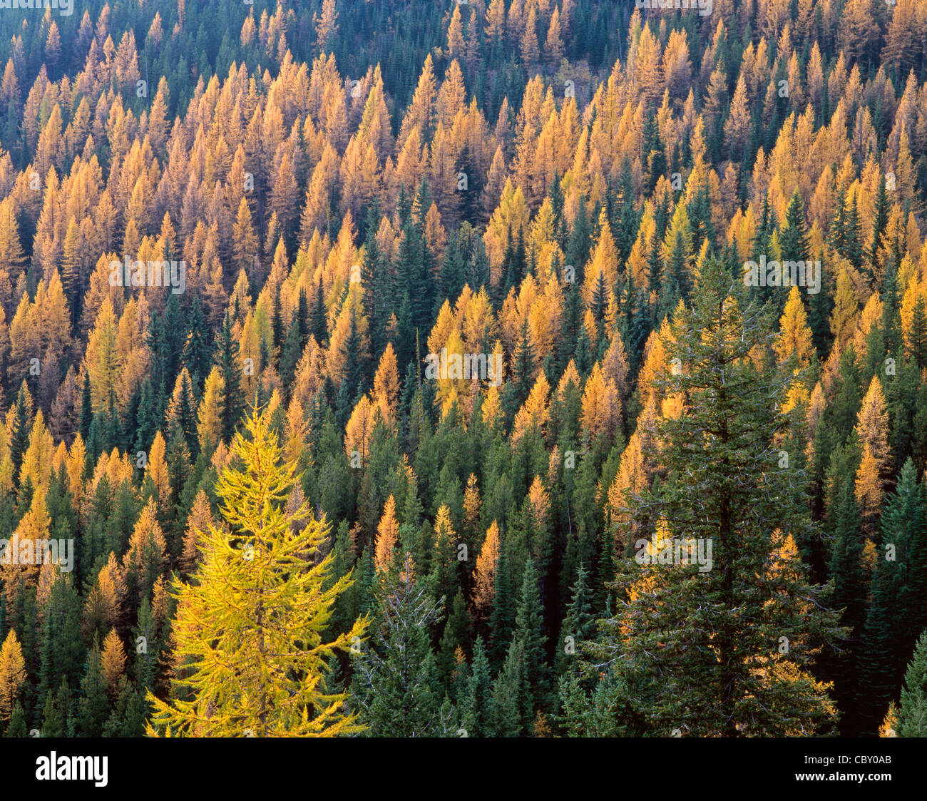 Sherman pass hires stock photography and images Alamy