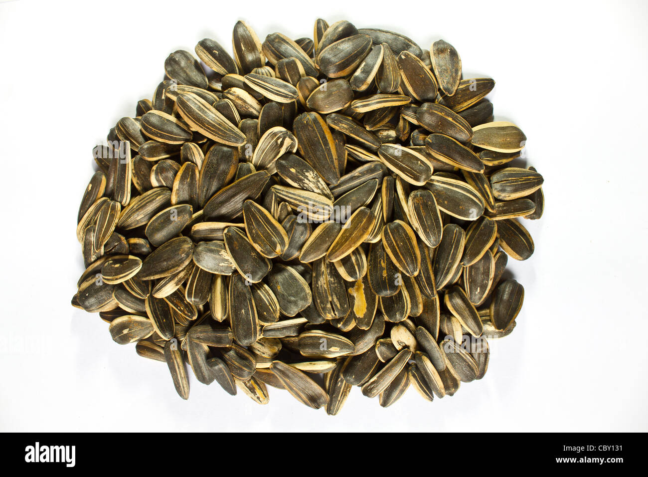 A pile of sunflower seeds isolated on white background Stock Photo - Alamy
