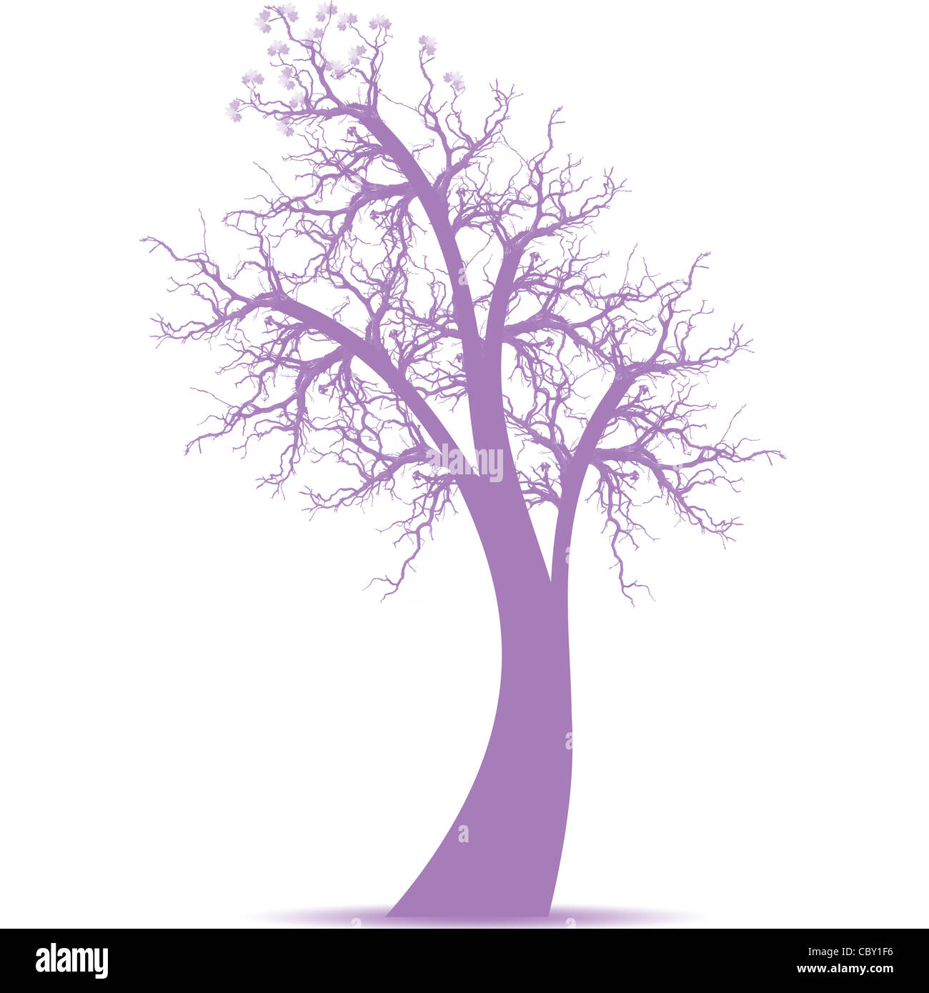 Beautiful art tree isolated on white background Stock Photo - Alamy