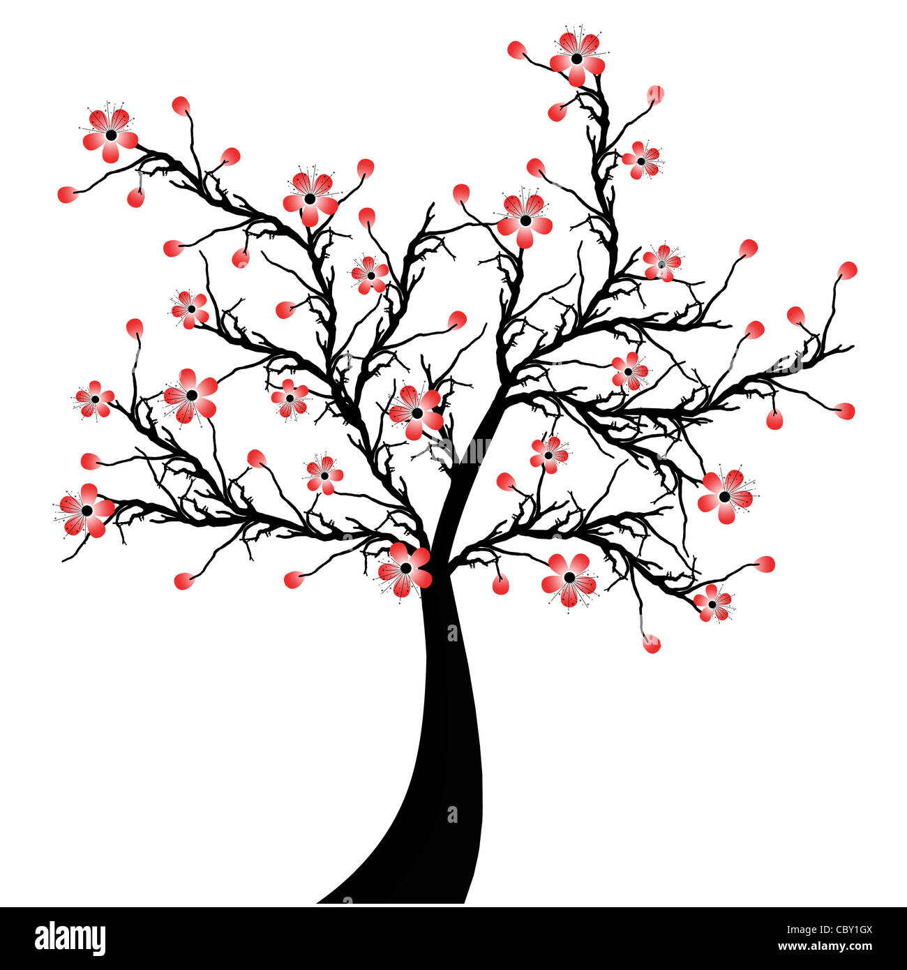 Beautiful blossom cherry tree isolated on white background Stock Photo ...