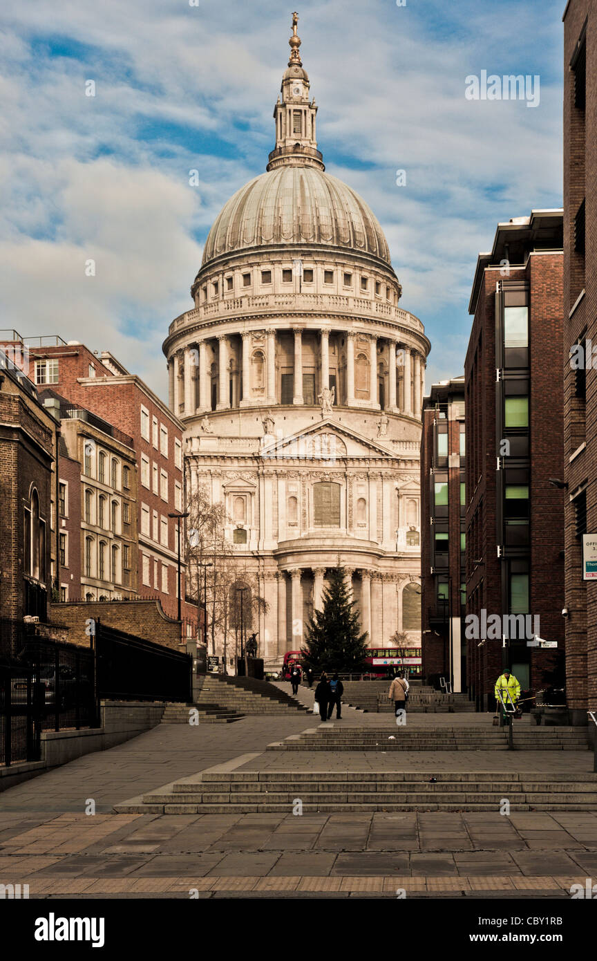 St Paul's Cathedral with Christmas tree in foreground seen from Peter's Hill. London Stock Photo