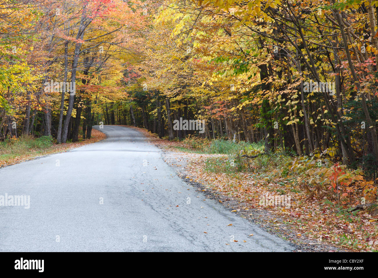 Tripoli Road in the Waterville Valley, New Hampshire USA during the