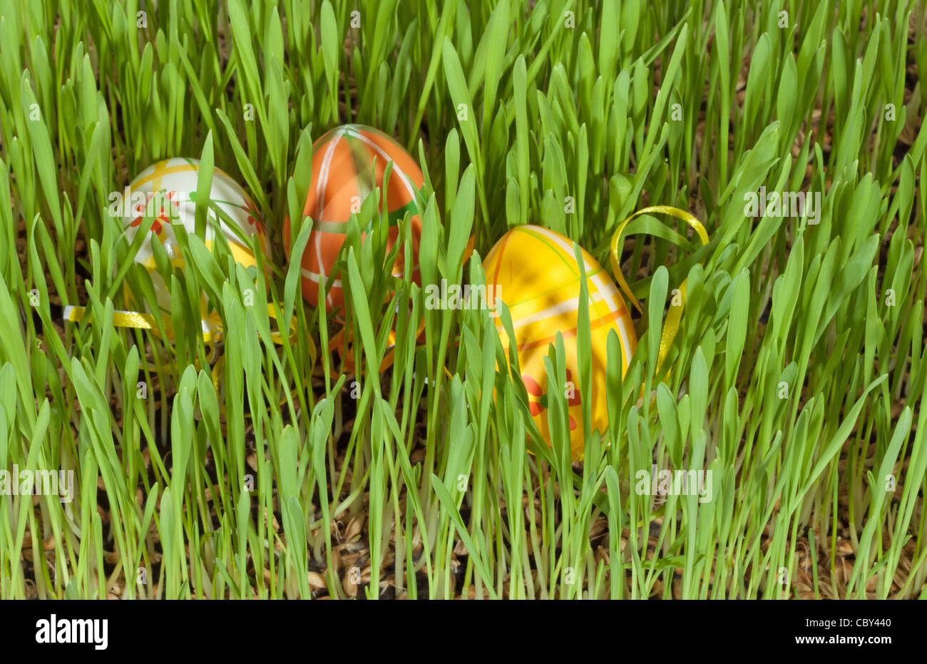 Easter eggs hidden in the green grass Stock Photo - Alamy