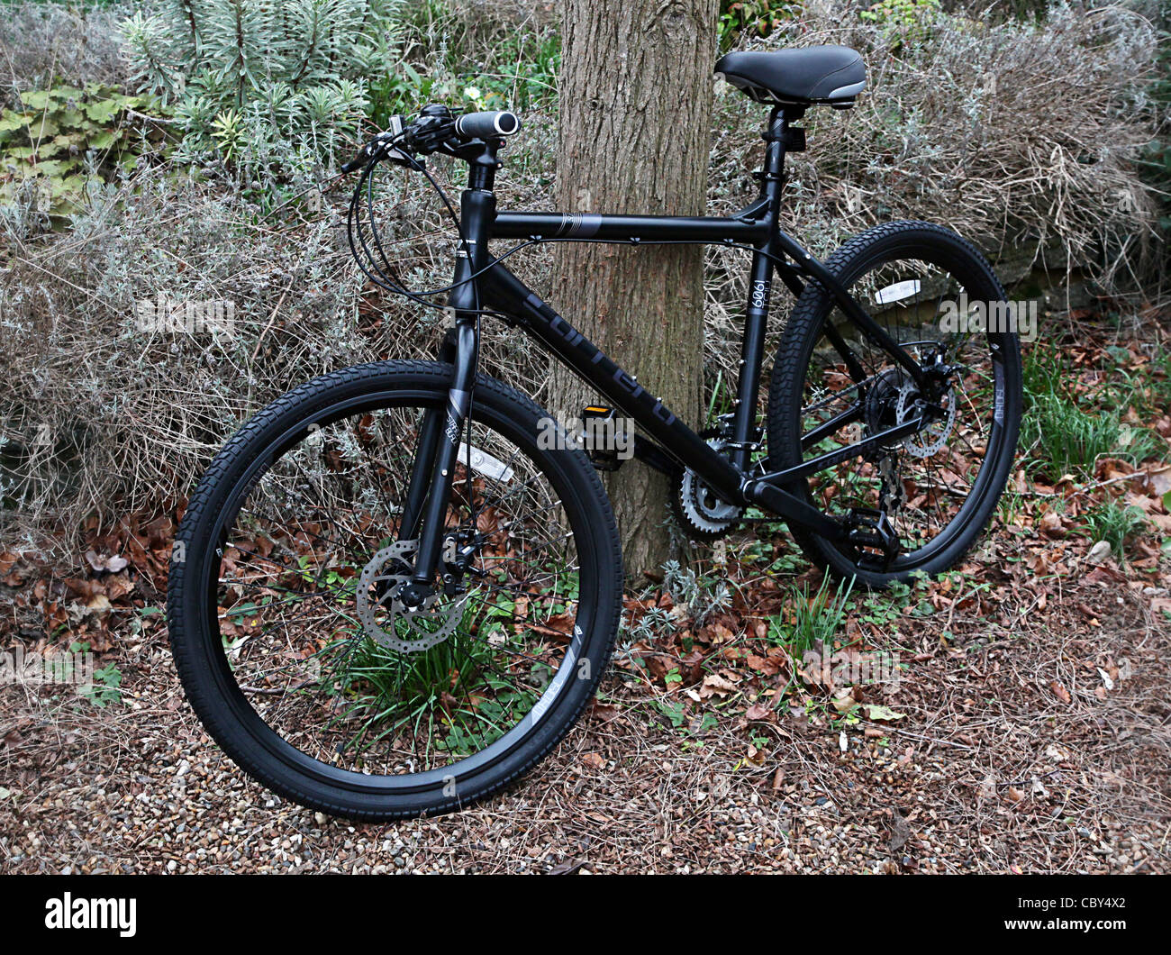 A Hybrid mountain bike leaning against a tree, Stock Photo