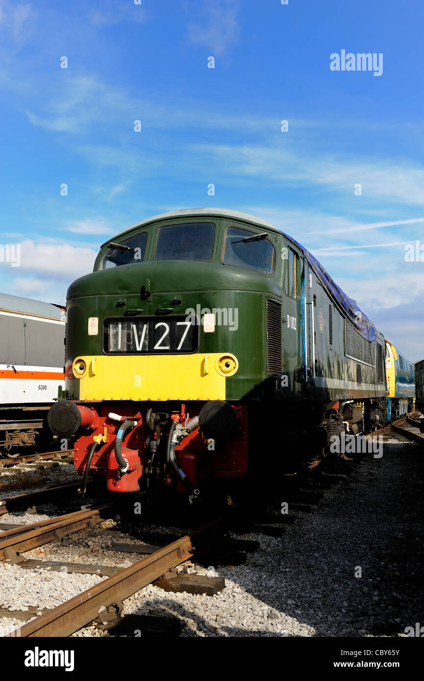 BR Brush Sulzer Class 46 Peak Diesel No  D182 in Brunswick Green on shed at the midland railway centre derbyshire england uk Stock Photo