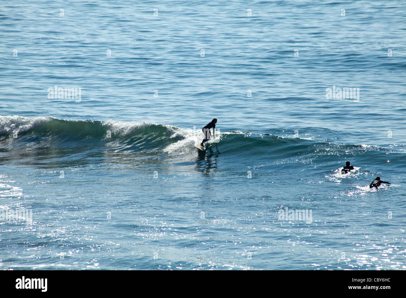 Surfer rides a wave during the annual ONeill Surfing Competition Stock ...