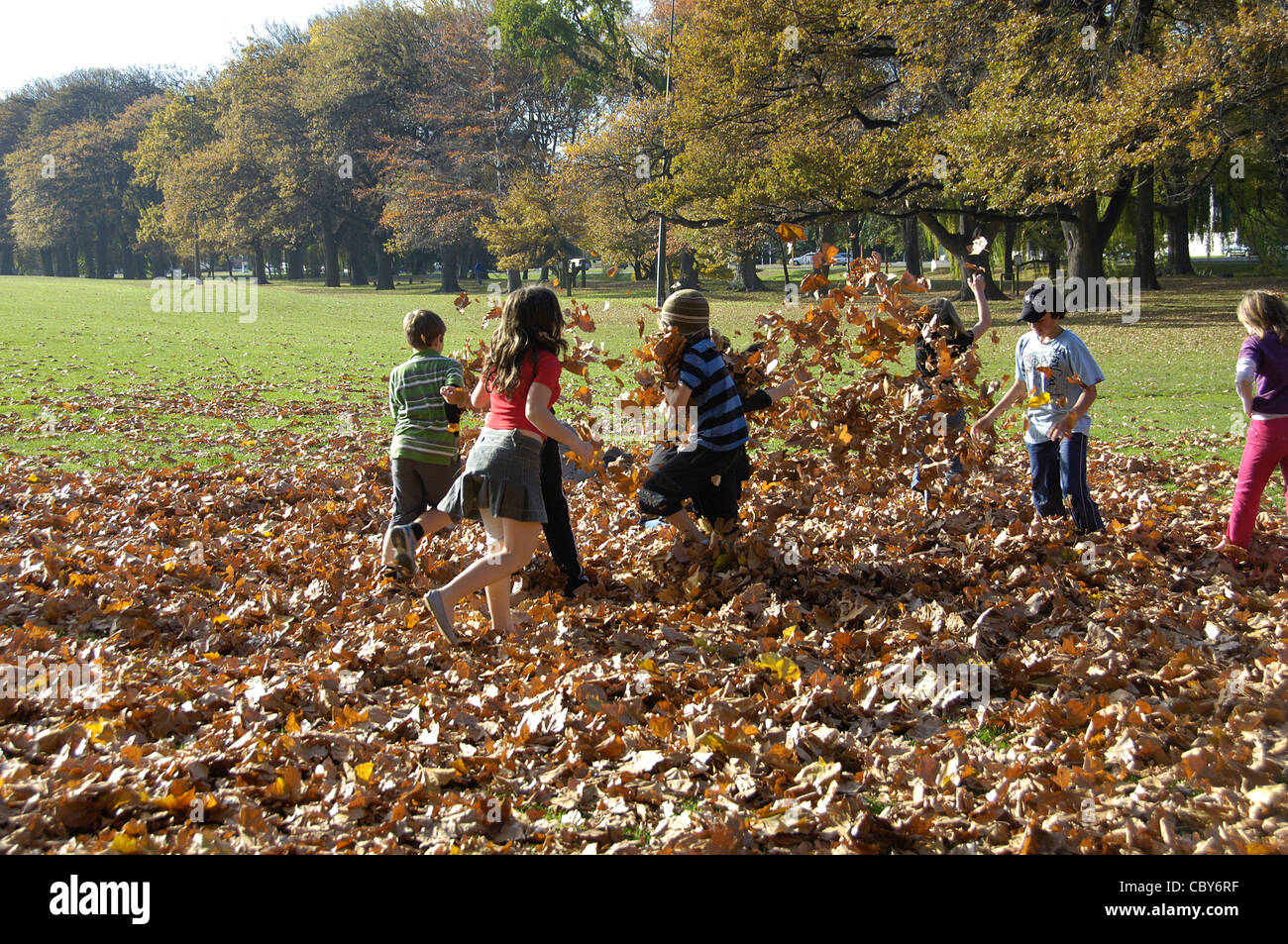 Children playing with Autumn leaves Hagley Park New Zealand Stock Photo ...