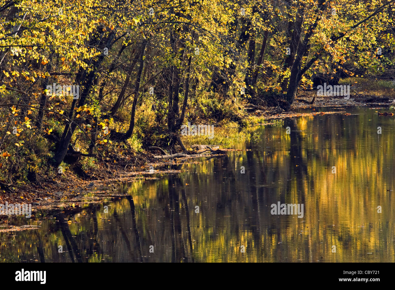 Autumn Reflections on Blue River in Harrison Crawford State Forest in Harrison County, Indiana Stock Photo