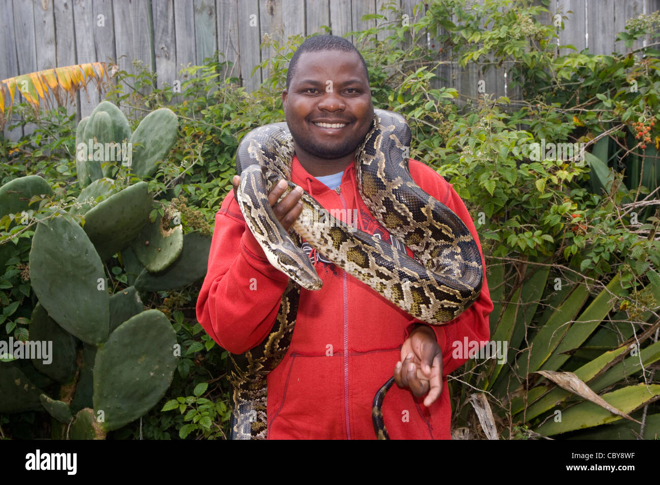 Imhoff Farm Imhoff Snake Park & reticulate python Stock Photo Alamy