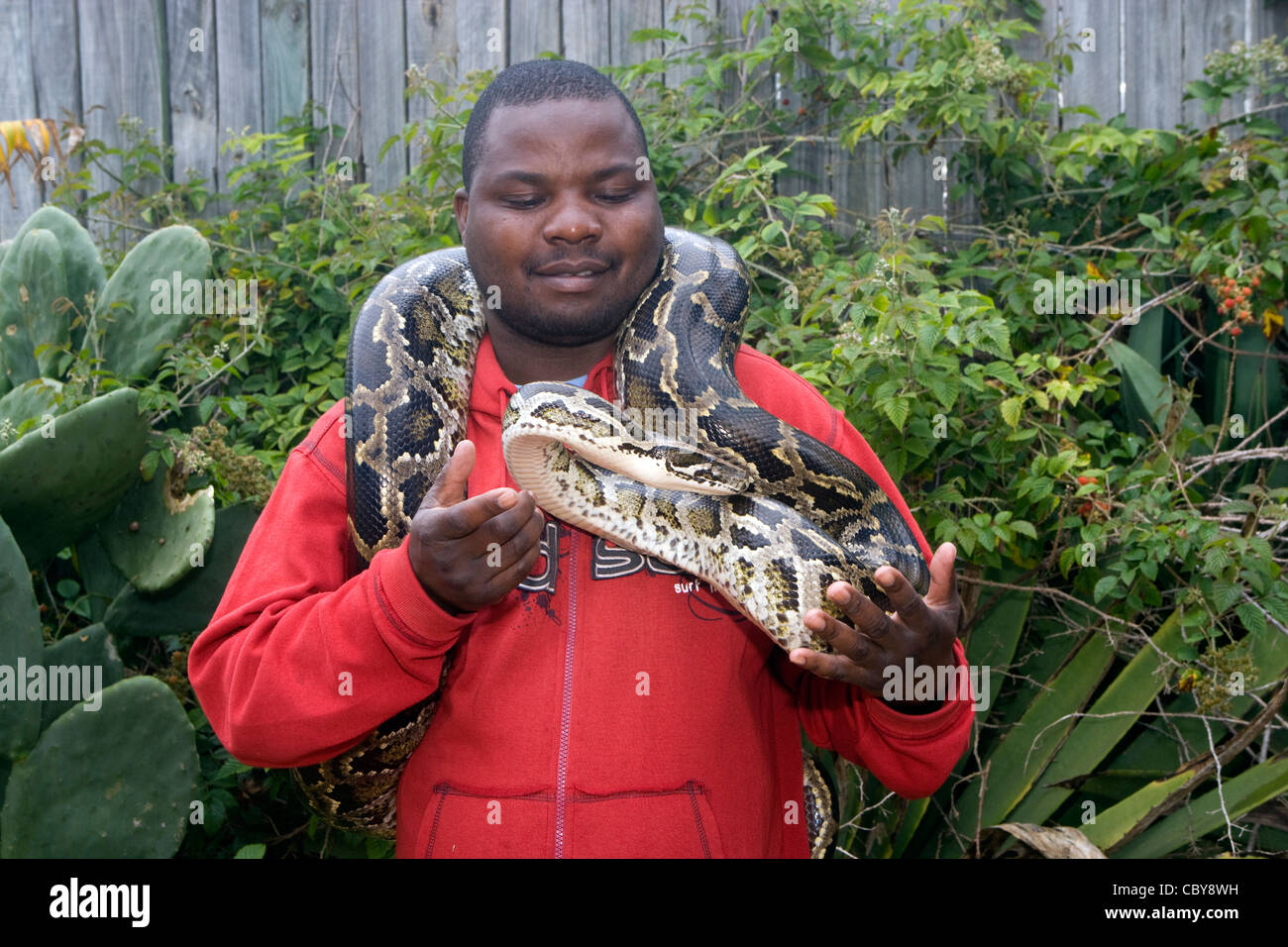 Imhoff Farm - Imhoff Snake Park & reticulate python Stock Photo - Alamy