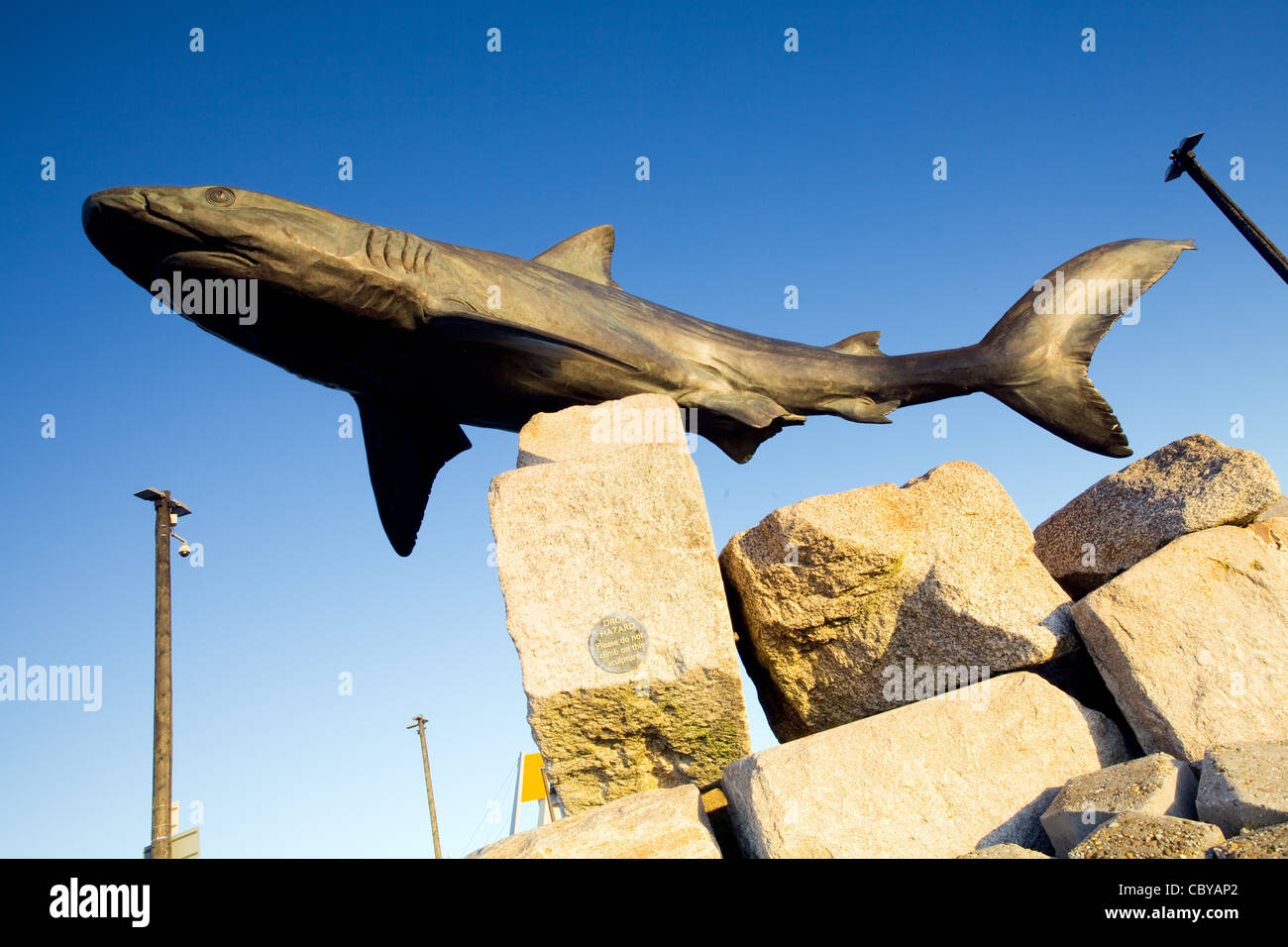 A statue of a Grey Reef Shark outside The Deep. Hull, East Yorkshire Stock Photo Alamy