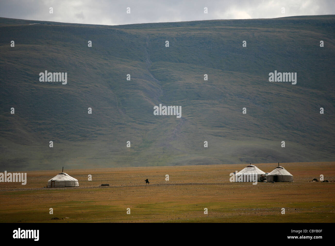 Yurts on a green field in Mongolia Stock Photo