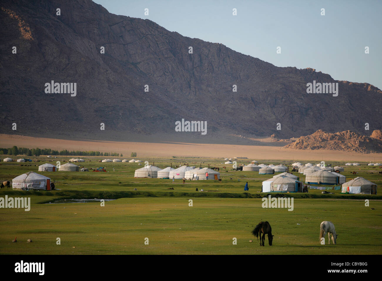 Goats and yurts on a green field in Mongolia Stock Photo