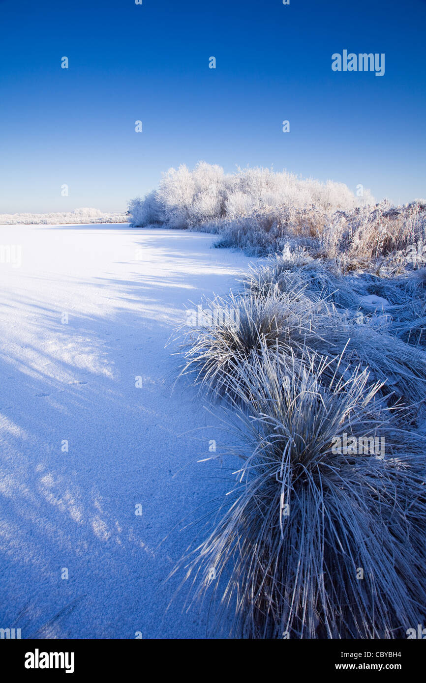 Shadows cast across a frozen snow covered pond on a sunny winter afternoon at the Waters Edge Country Park in North Lincolnshire Stock Photo