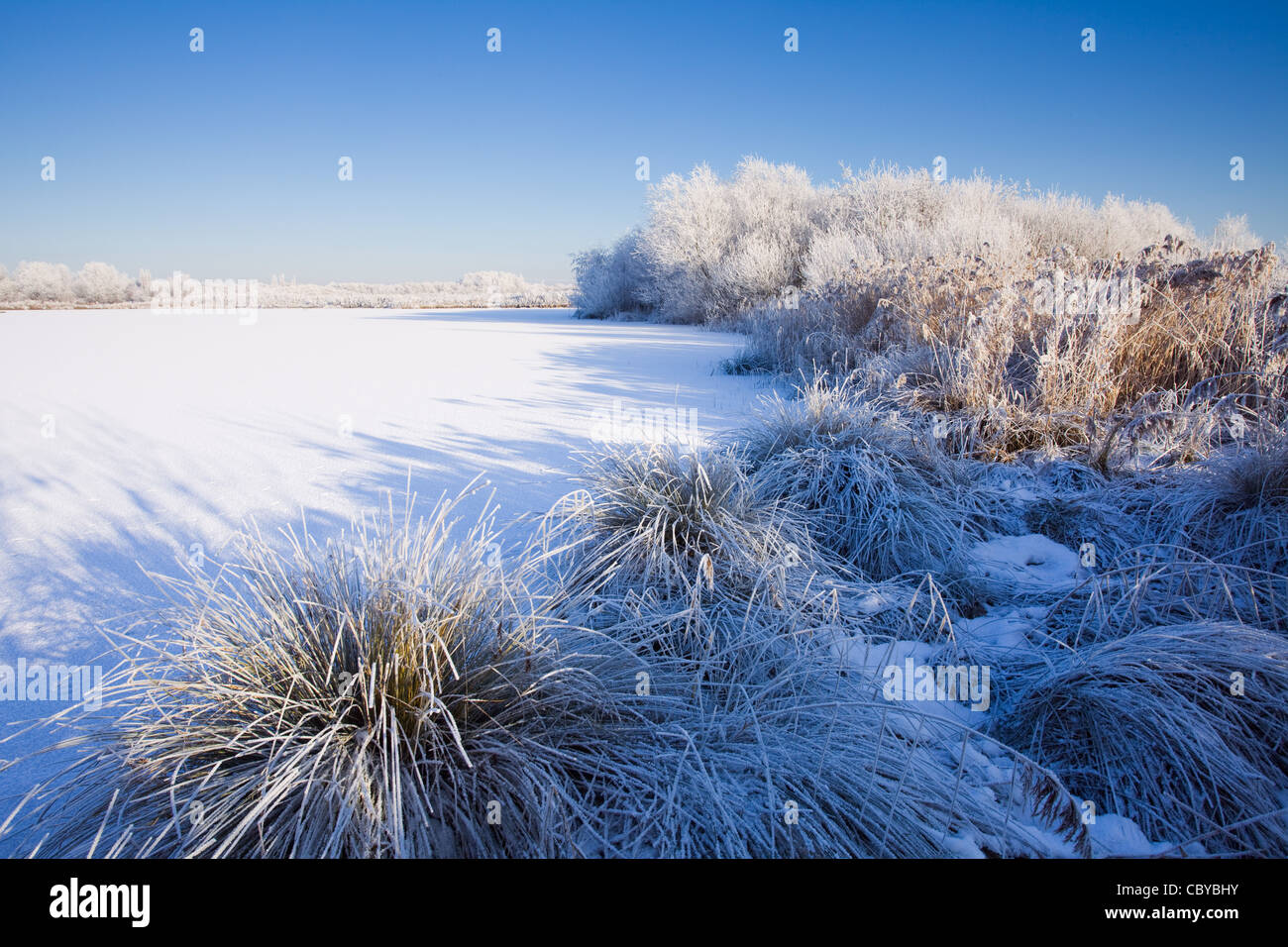Shadows cast across a frozen snow covered pond on a sunny winter afternoon at the Waters Edge Country Park in North Lincolnshire Stock Photo