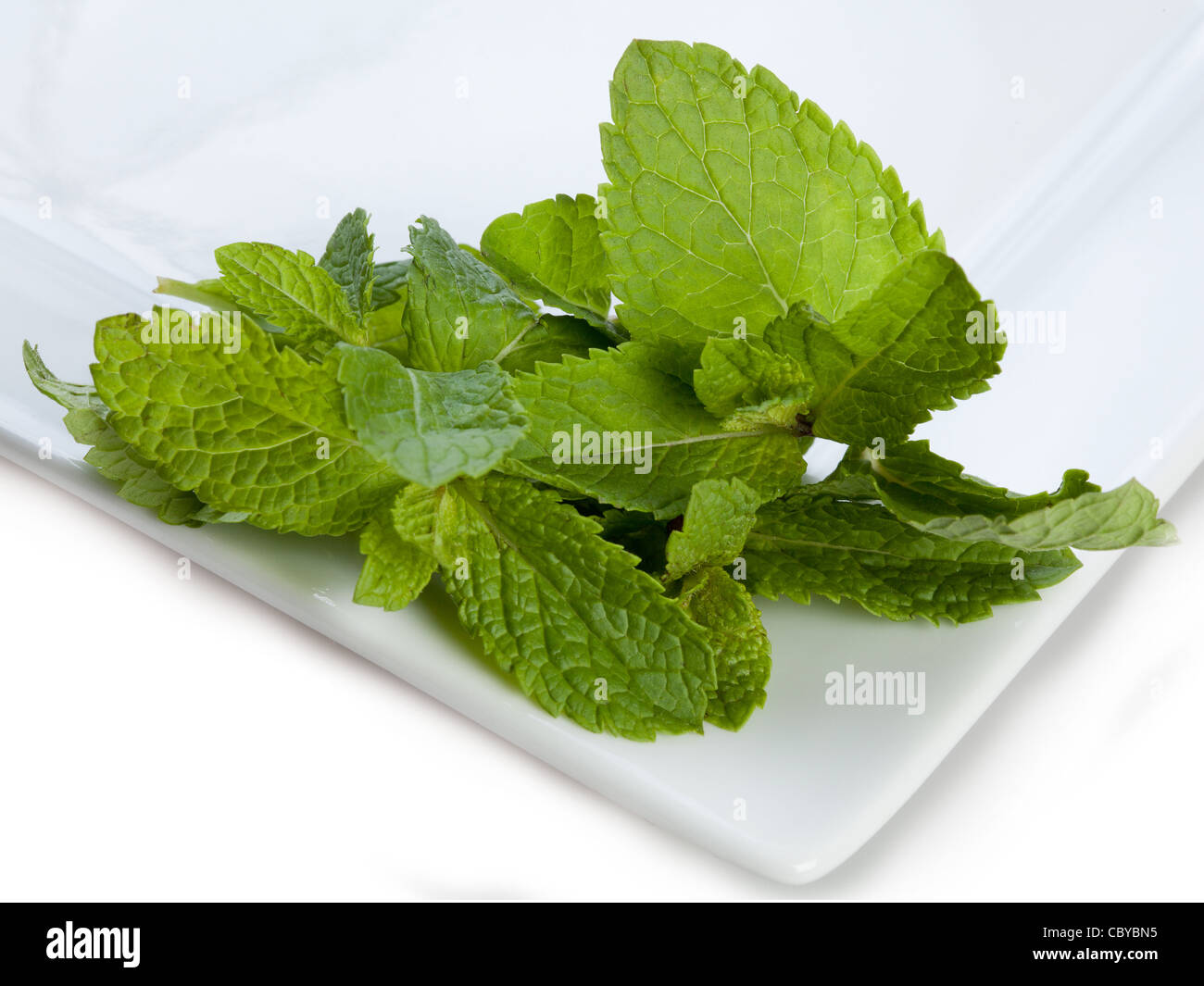 Fresh mint on a white plate Stock Photo