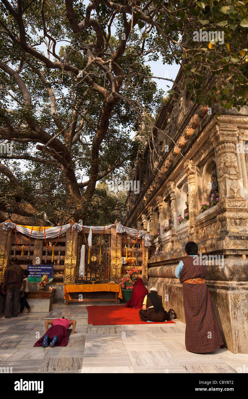 India, Bihar, Bodhgaya, Mahabodhi Temple, pilgrims praying at Bodhi tree beside Vajrasana Diamond throne Stock Photo