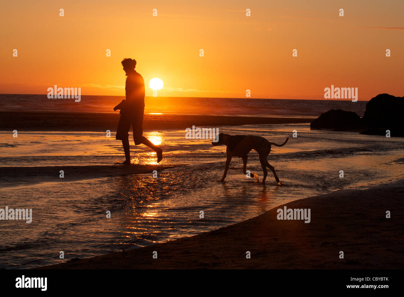 Man walking dog at sunset on Perranporth beach Cornwall Stock Photo