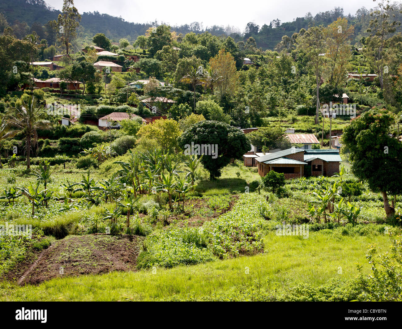 Village houses and lush tropical fields in a high valley in the Sagalla Hills near Voi southern Kenya Stock Photo