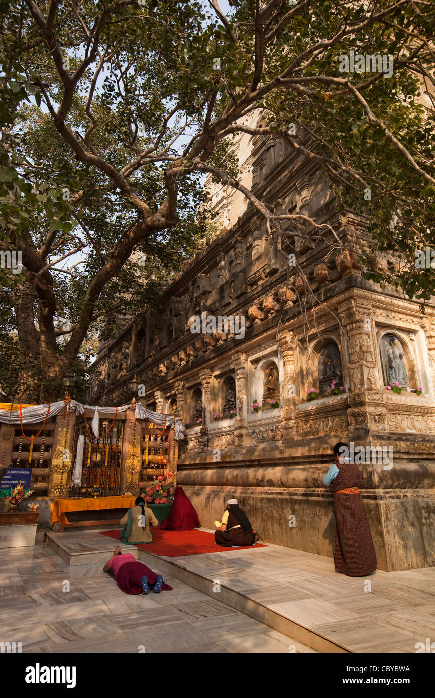 India, Bihar, Bodhgaya, Mahabodhi Temple, Pilgrims praying at Bodhi tree beside Vajrasana Diamond throne Stock Photo