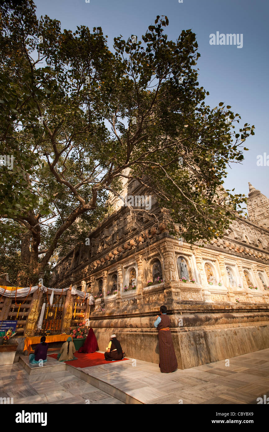 India, Bihar, Bodhgaya, Mahabodhi Temple, pilgrims praying at Bodhi tree beside Vajrasana Diamond throne Stock Photo