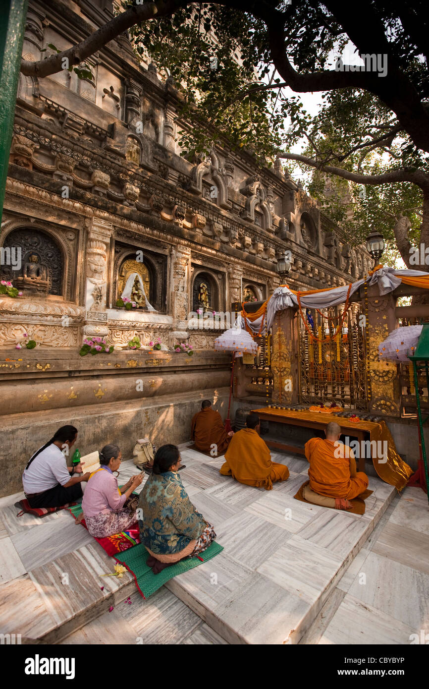 India, Bihar, Bodhgaya, Mahabodhi Temple, pilgrims praying at Vajrasana Diamond throne below Bodhi tree Stock Photo