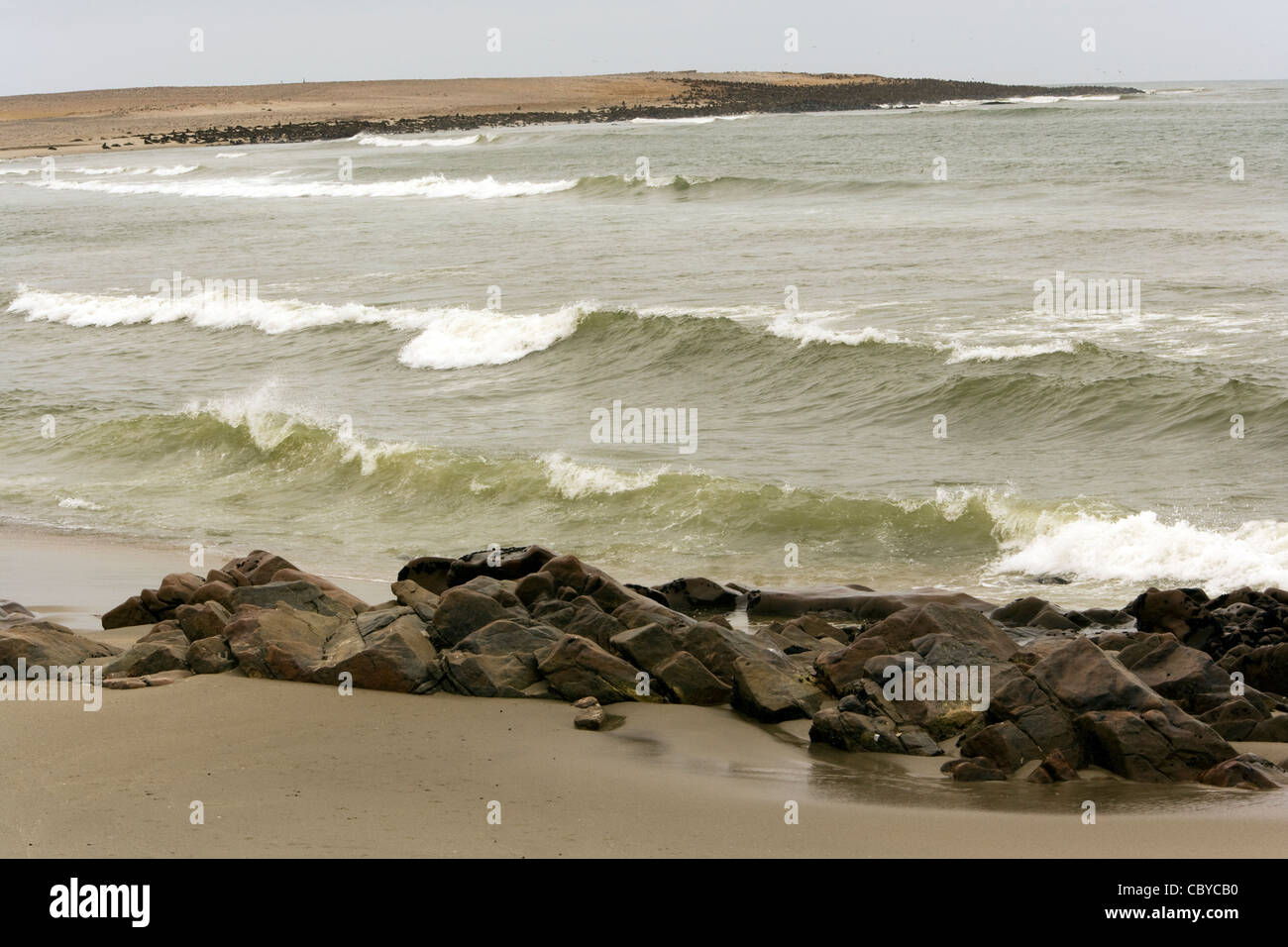 Cape Cross Seal Reserve - near Henties Bay, Namibia, Africa Stock Photo