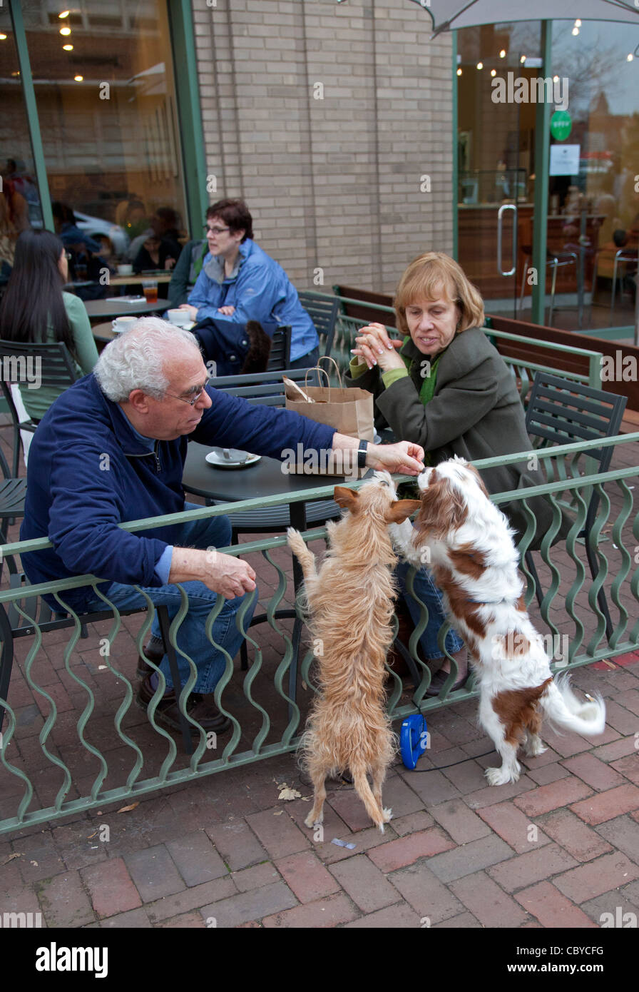 Sidewalk cafe hires stock photography and images Alamy