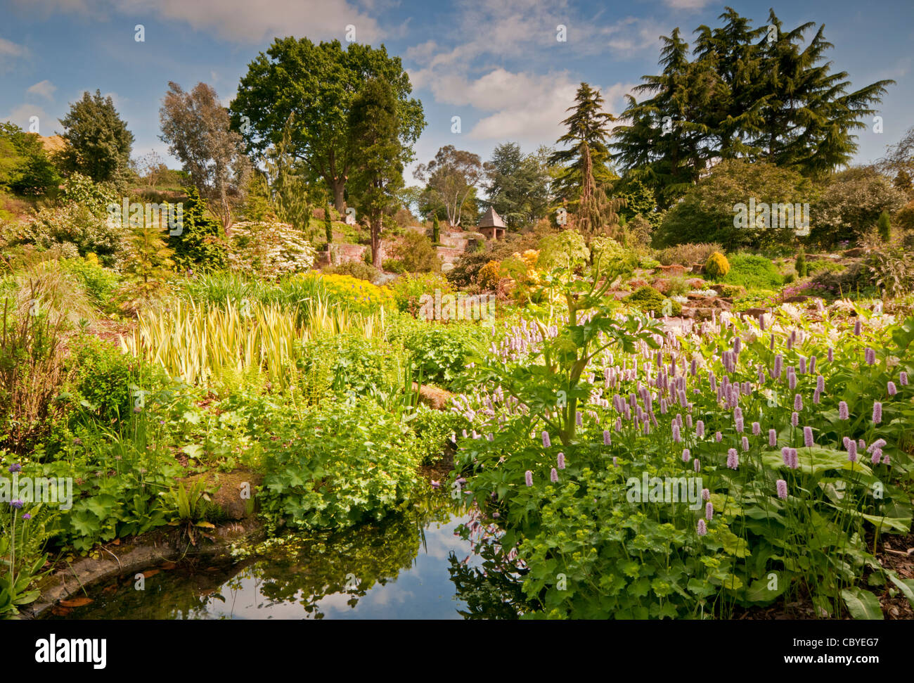 The Ruin Garden, Ness Botanical Gardens, The Wirral, Merseyside