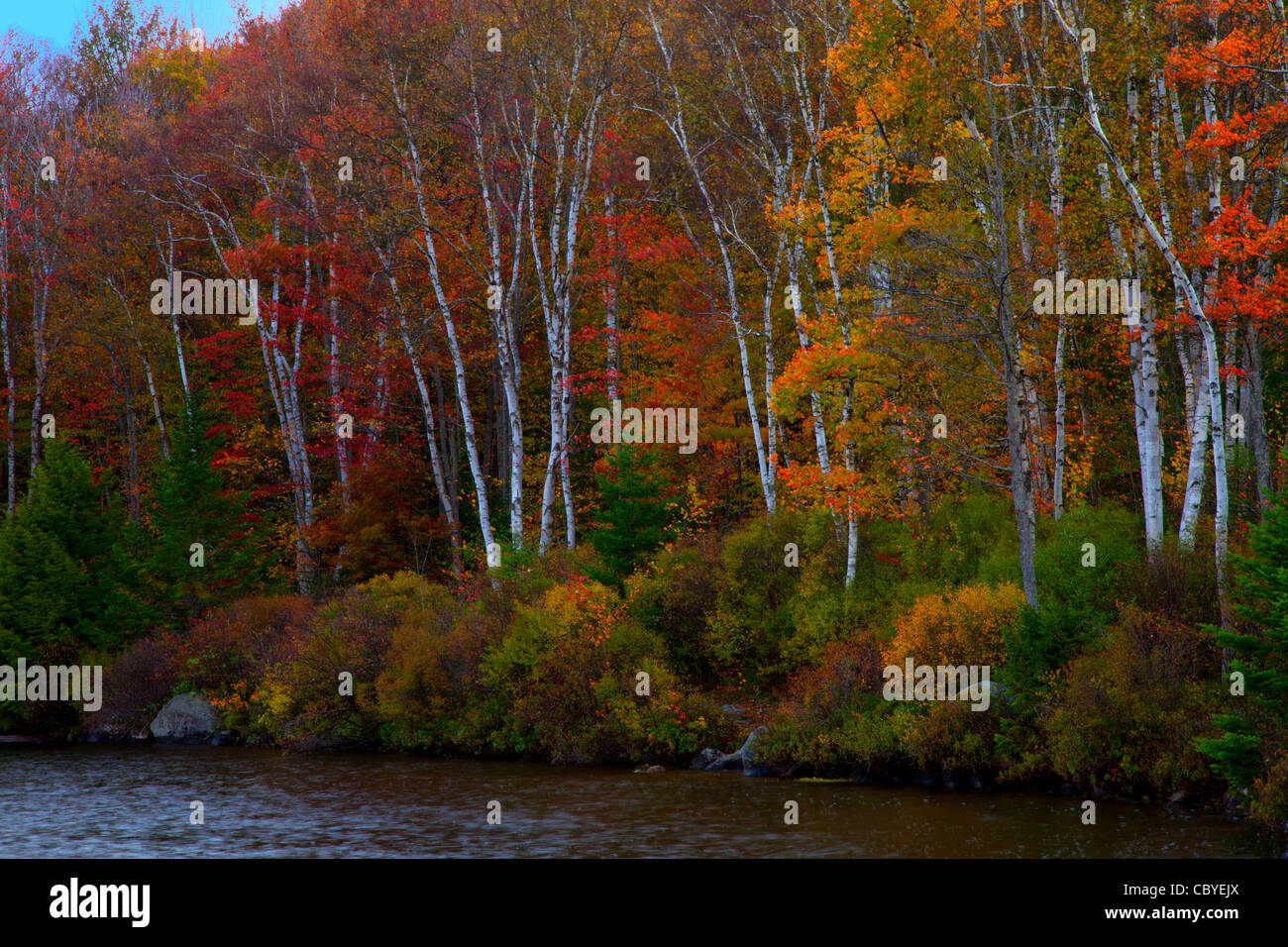 Fall colors at Kettle Pond in Groton State Park, Vermont Stock Photo