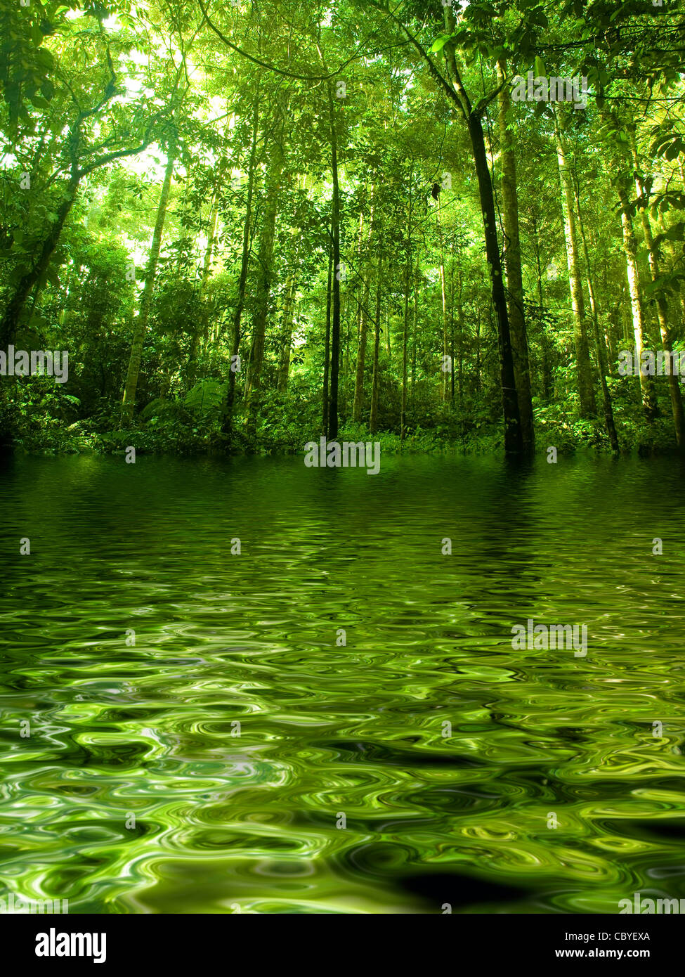 Green forest with ray of light by river Stock Photo - Alamy
