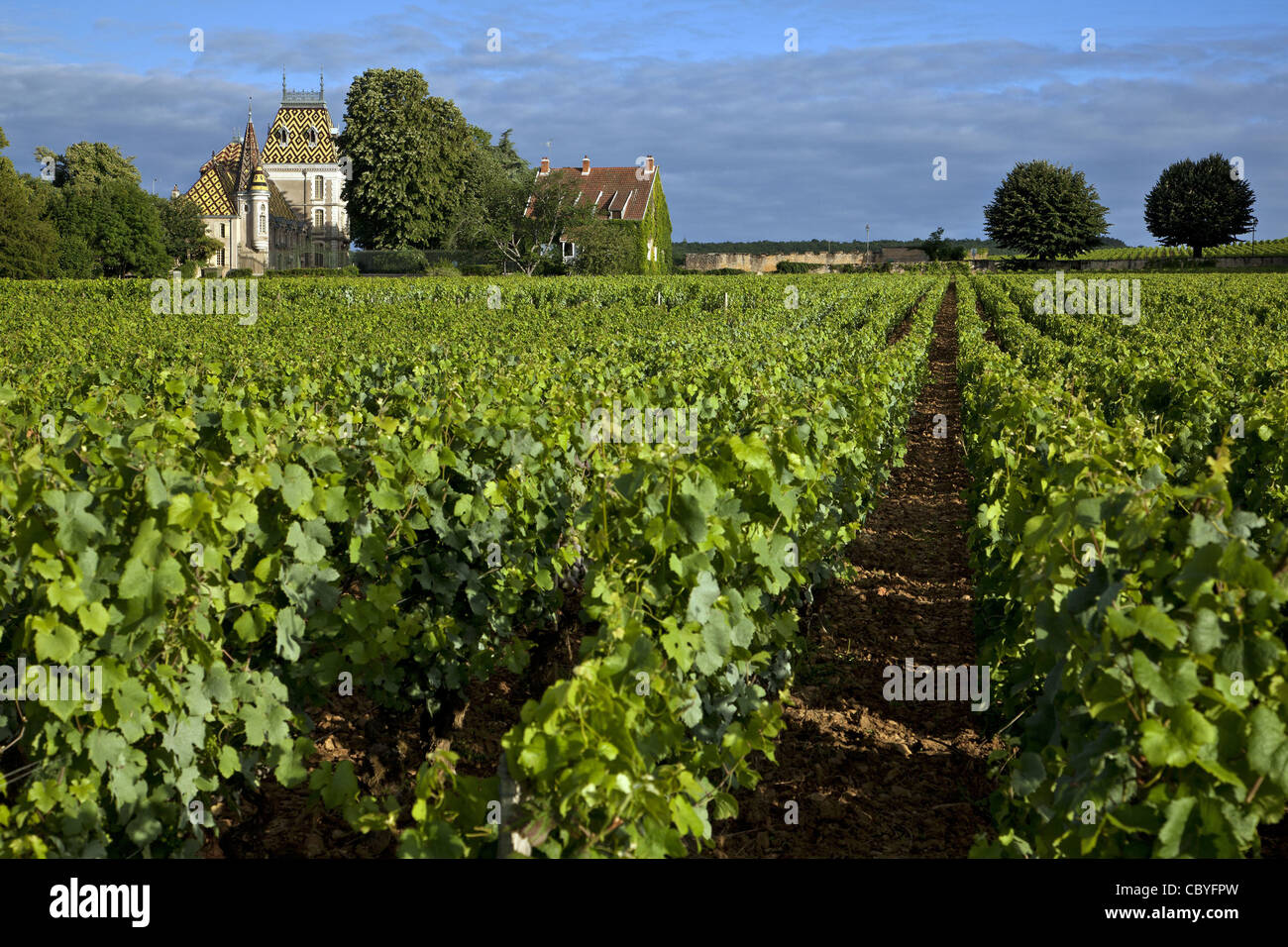 CORTON ANDRE CHATEAU AND VINEYARDS THE GREAT BURGUNDY WINE ROAD ALOXE corton-andre-chateau-and-vineyards-the-great-burgundy-wine-road-aloxe