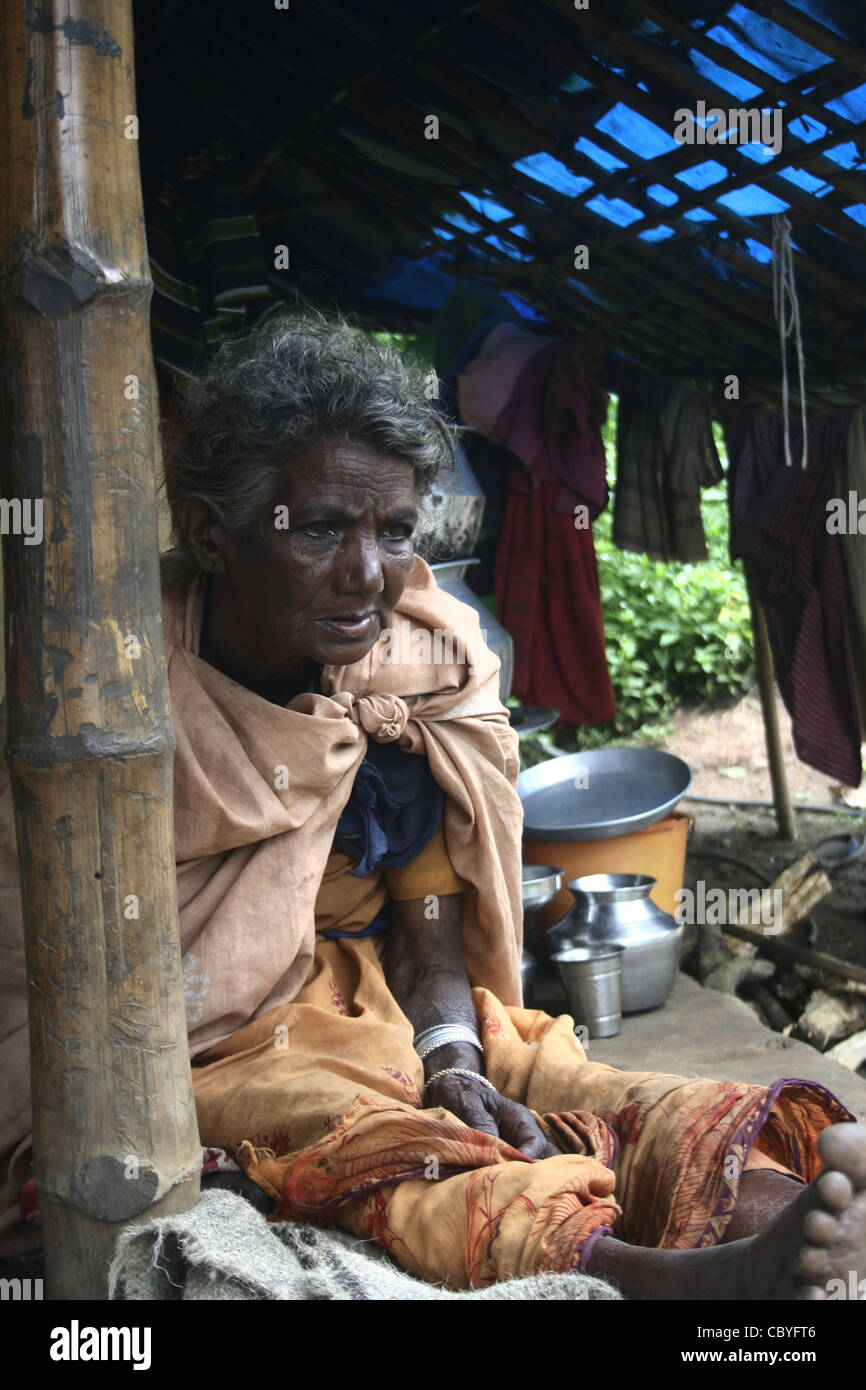 Tribal Village Woman In Wayanad, Kerala Stock Photo