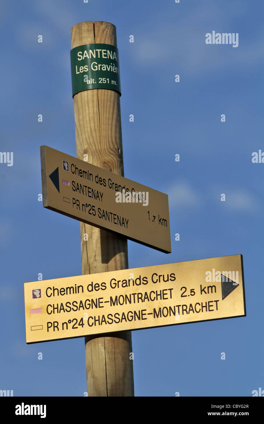 WINE TOURISM, MARKER FOR THE GREAT WINE WALKING TRAIL, SANTENAY, COTE D’OR (21), BURGUNDY, FRANCE Stock Photo