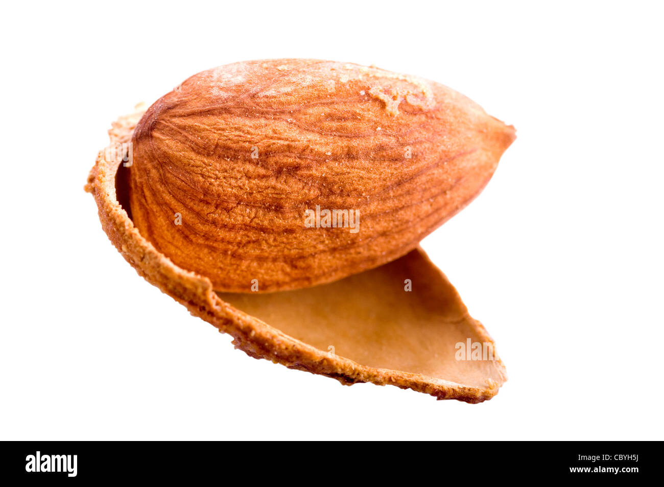 Almond in shell isolated on white Stock Photo Alamy