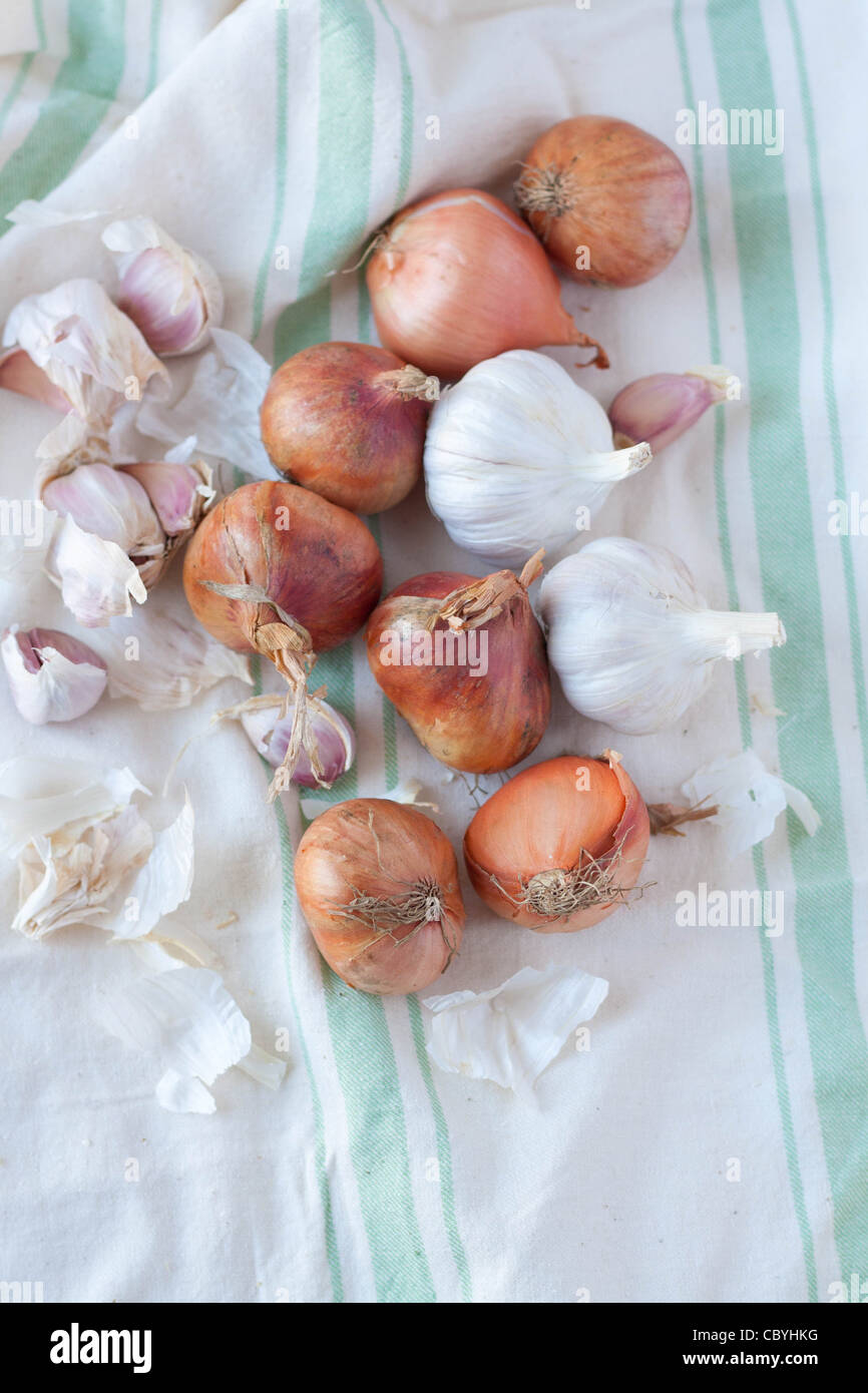 Garlic and onion shallot from above Stock Photo Alamy