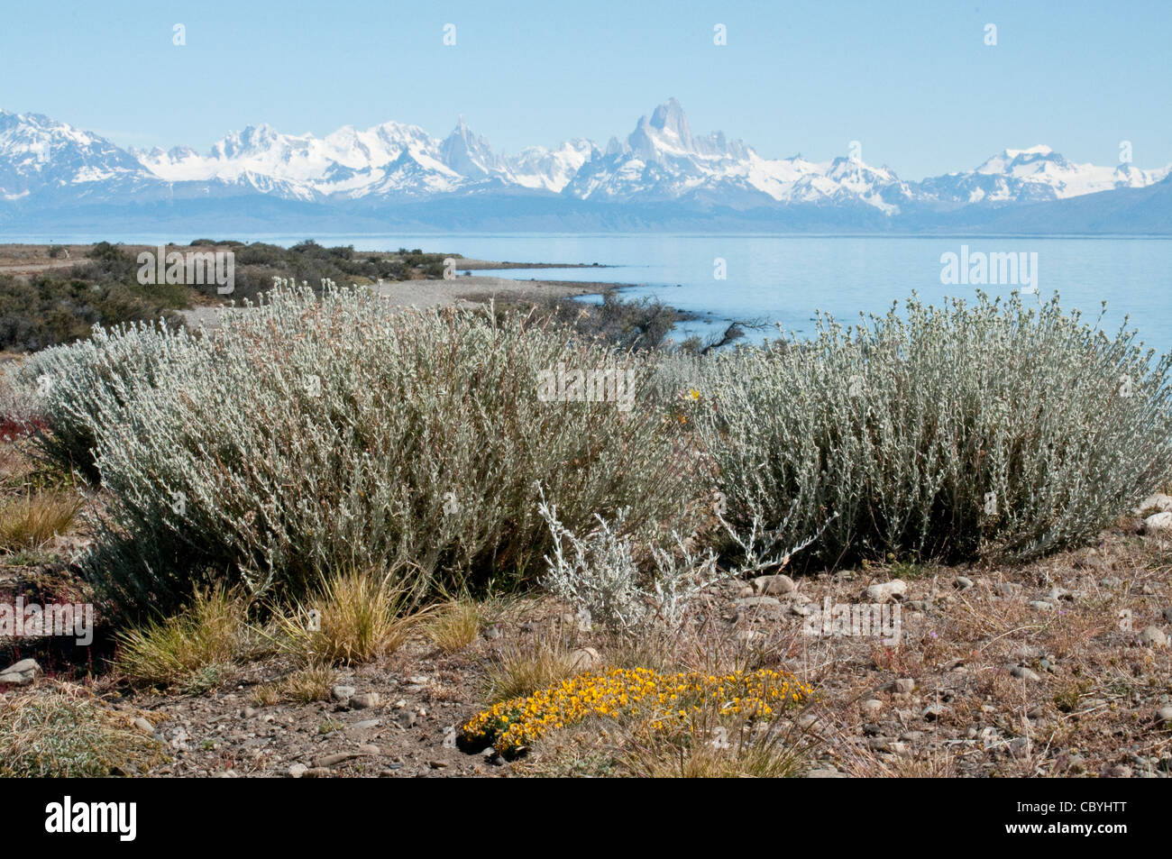 Lake Viedma and Fitz Roy early morning view from road 21 Santa Cruz Province Patagonia Argentina South America Stock Photo