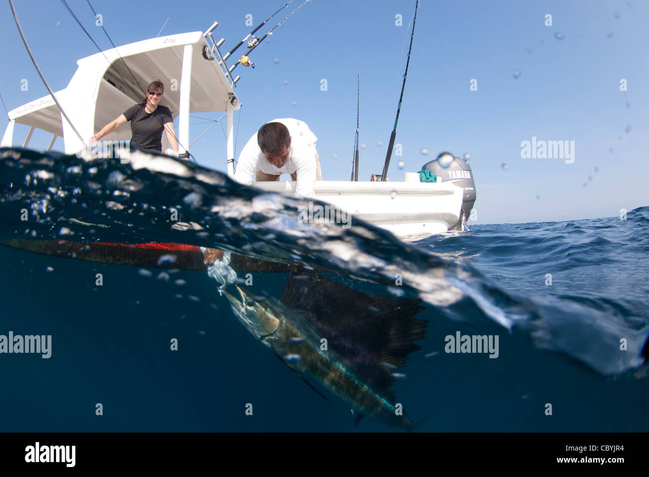 Caught big fish hires stock photography and images Alamy