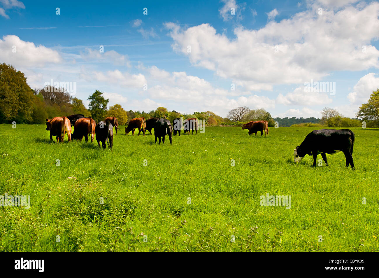 mariners hill, Westerham, Kent, England, UK, Europe Stock Photo